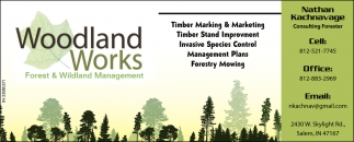 Timber Marking & Marketing