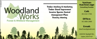 Timber Marking & Marketing