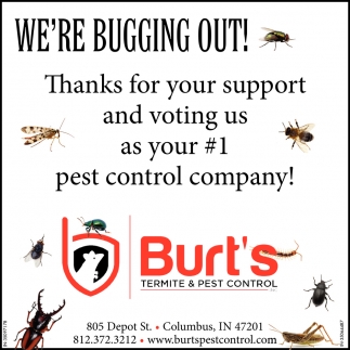 We're Bugging Out!