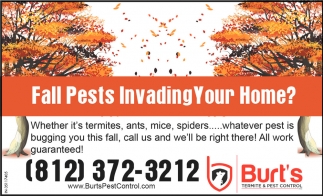 Fall Pests Invading Your Home?