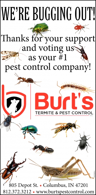 We're Bugging Out!