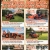 Great Pirces, Great Rates, & a Great Time to Buy a Kubota!