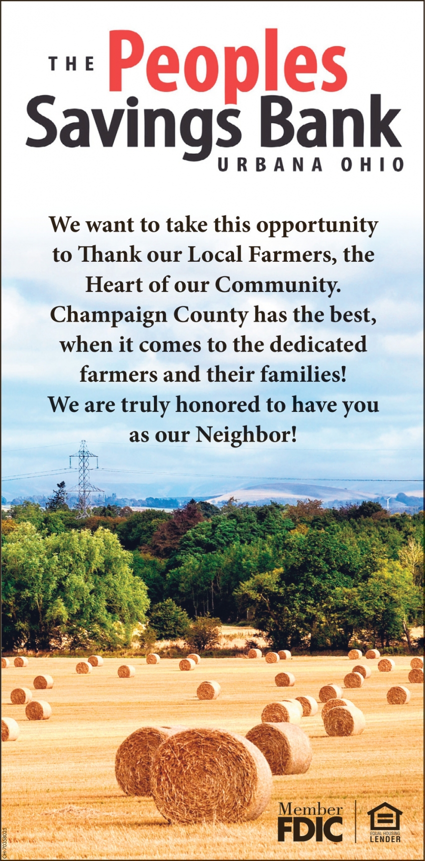 The Peoples Savings Bank