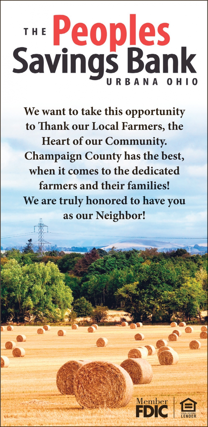 The Peoples Savings Bank