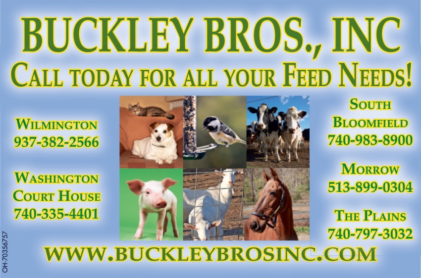 Buckley Bros Inc