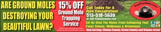 Are Ground Moles Destroying Your Beautiful Lawn?