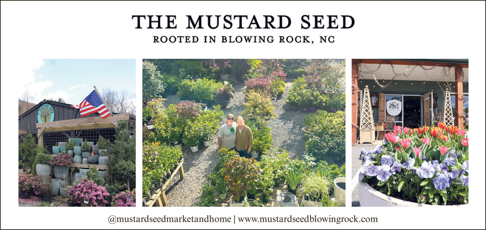 Rooted In Blowing Rock, The Mustard Seed