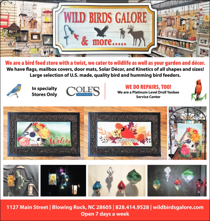 We Are a Bird Feed Store with a Twist