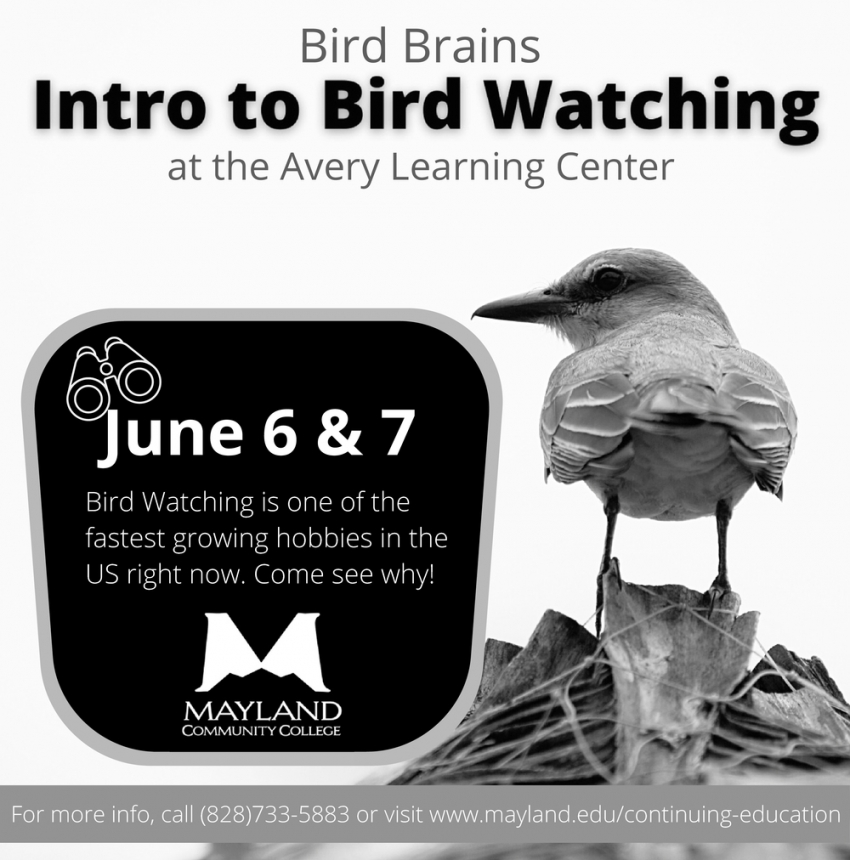 Intro To Bird Watching