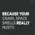 Because Your Crawl Space Smells Really Musty