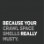 Because Your Crawl Space Smells Really Musty