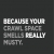 Because Your Crawl Space Smells Really Musty