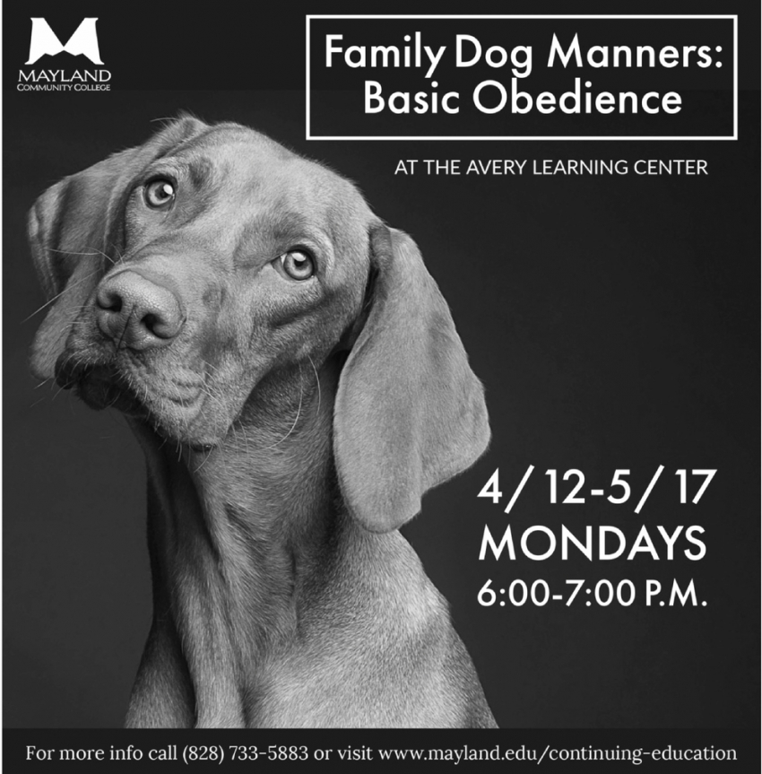 Family Dog Manners: Basic Obedience
