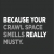 Because Your Crawl Space Smells Really Musty