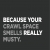 Because Your Crawl Space Smells Really Musty