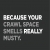 Because Your Crawl Space Smells Really Musty