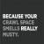 Because Your Crawl Space Smells Really Musty