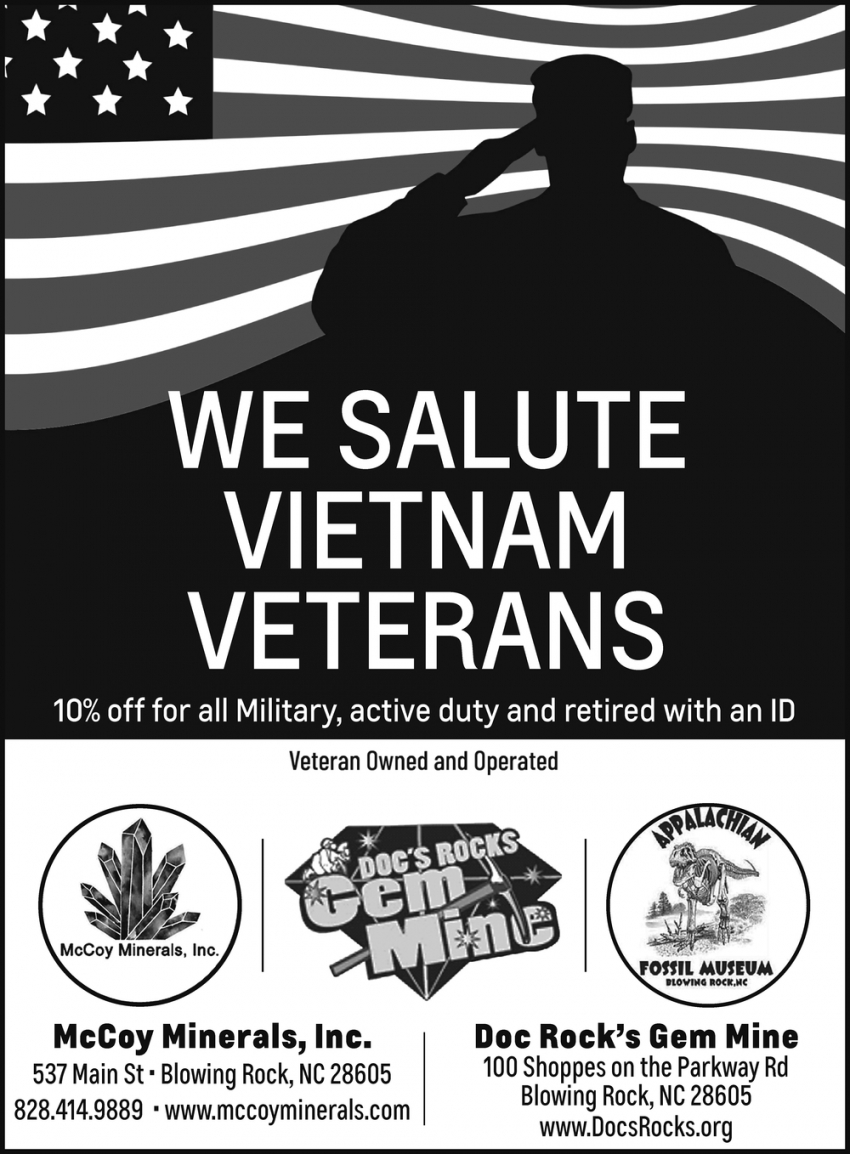 We Salute Vietnam Veterans