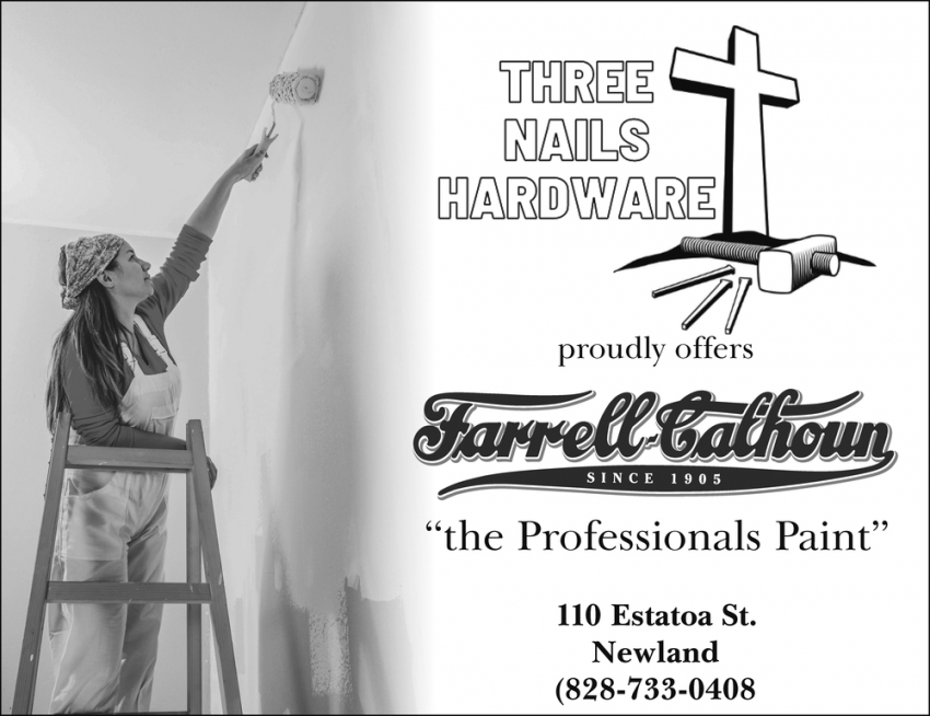 The Professionals Paint