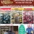 Lots of Tools and Gifts to Pick Out for Dad