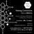 Making Connections for a Lifetime