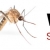 We Stop Mosquitos