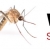 We Stop Mosquitos