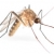 We Stop Mosquitos, So You Can Enjoy Summer