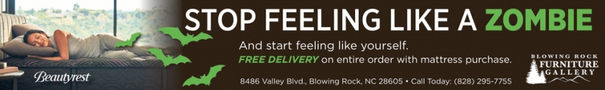 Blowing Rock Furniture Gallery
