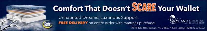 Skyland Furniture & Mattress