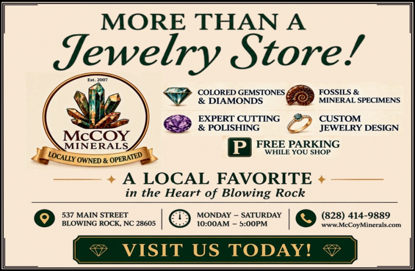 McCoy Minerals Inc.