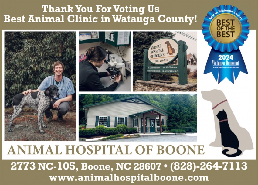 Animal Hospital of Boone