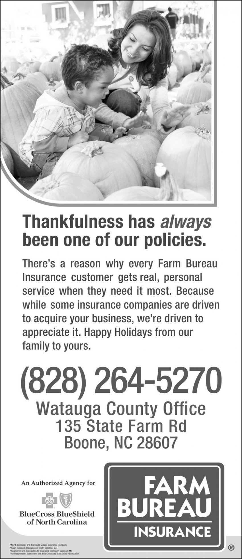 N.C Farm Bureau Insurance