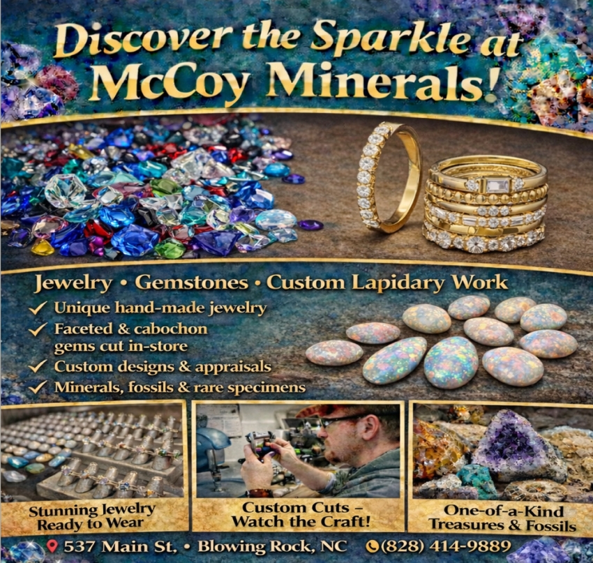 McCoy Minerals Inc.
