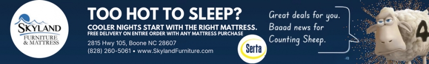 Skyland Furniture & Mattress