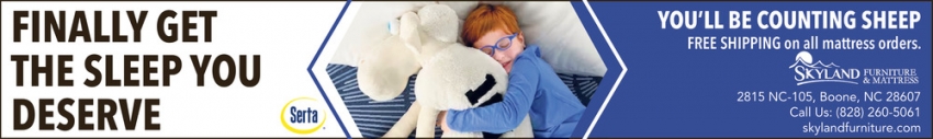 Skyland Furniture & Mattress
