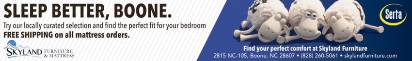 Skyland Furniture & Mattress