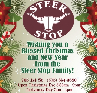 Steer Stop