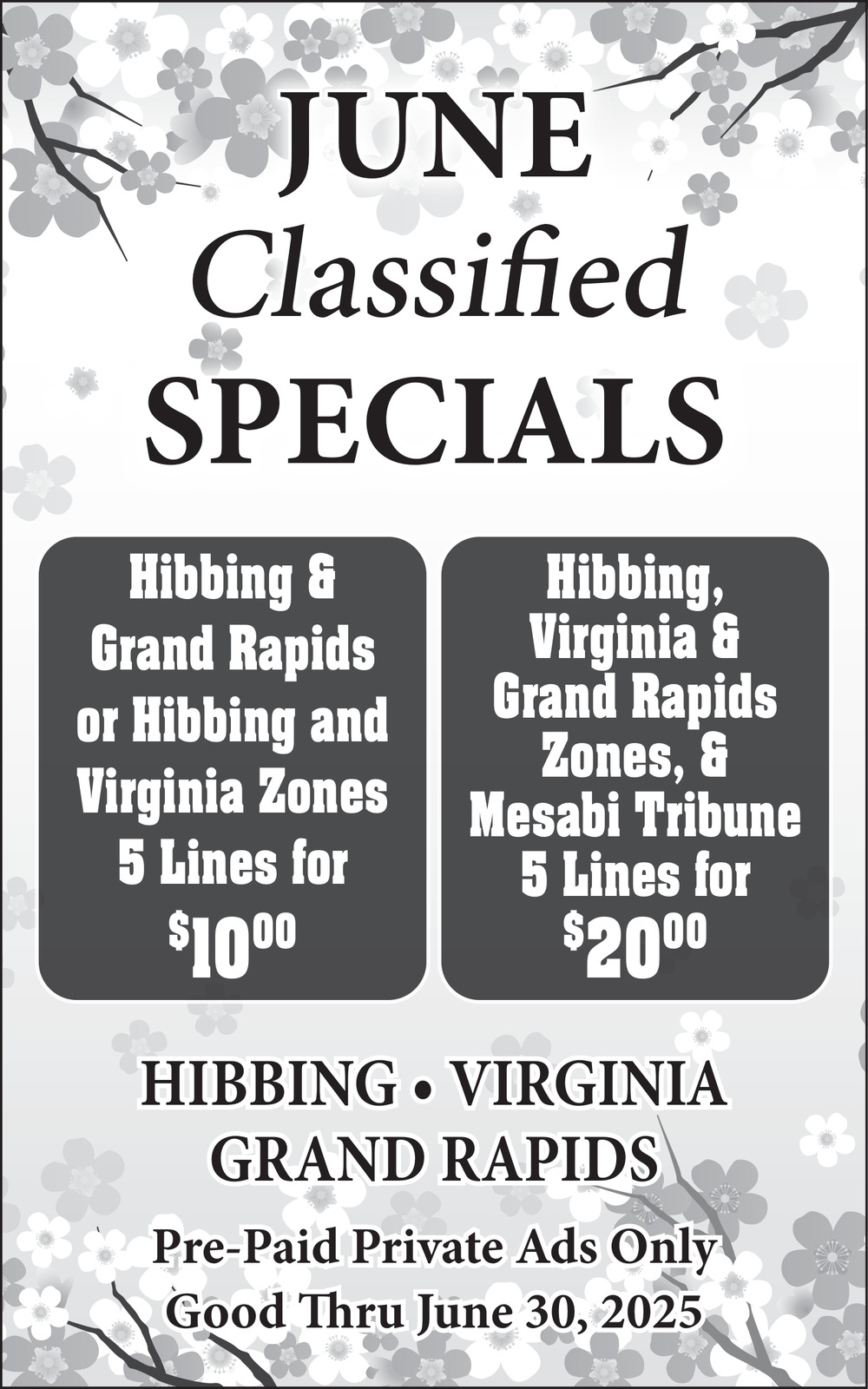 June Classified Specials, Manney's Shopper , Hibbing, MN