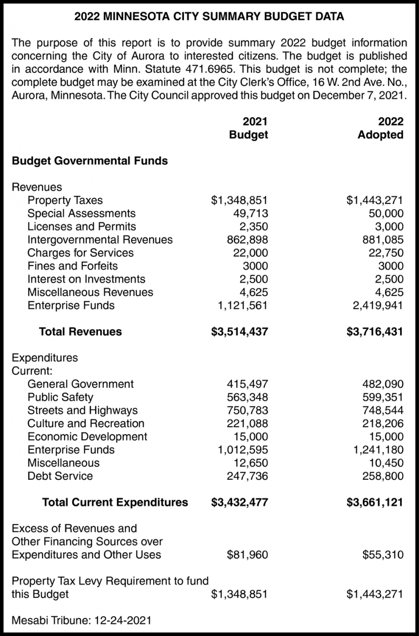 2022 Minnesota City Summary Budget Data