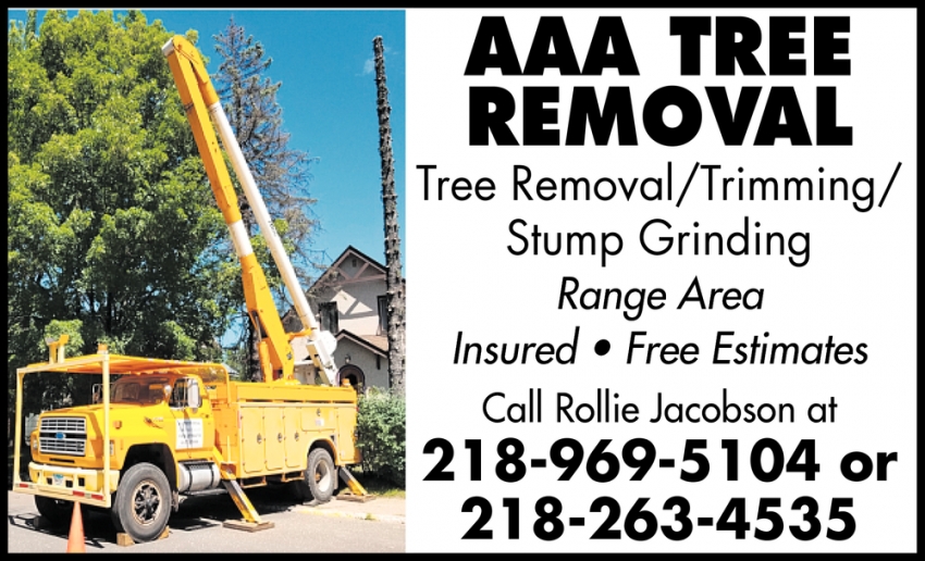 Tree Removal/Trimming/Stump Grinding