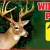 Wildlife Food Plot Mixes