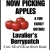 Now Picking Apples