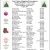 Last Chance Shopping Extravaganza