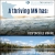 A Thriving MN Has:
