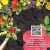 Let's Grow