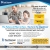 All-Fiber Optic Internet Service