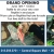 Gargoyle Gecko's and Many More!