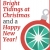 Bright Tidings at Christmas and a Happy New Year!