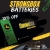 Strongbox Batteries - 10% OFF